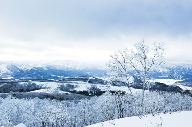 国家公园,水平画幅,雪