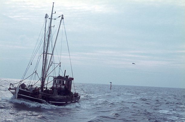 渔业渔船