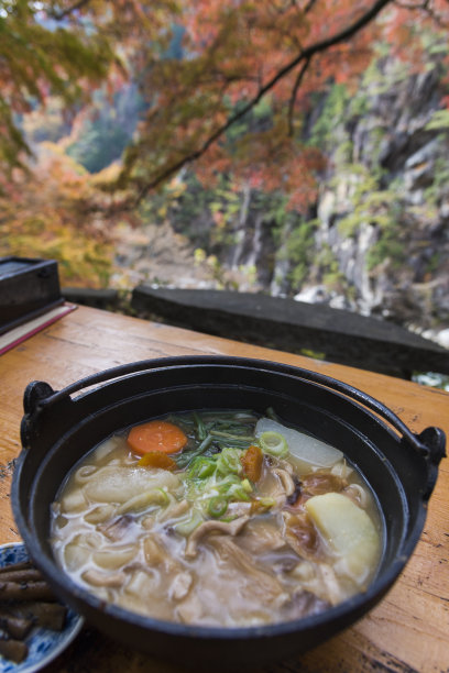 本州岛中部地区