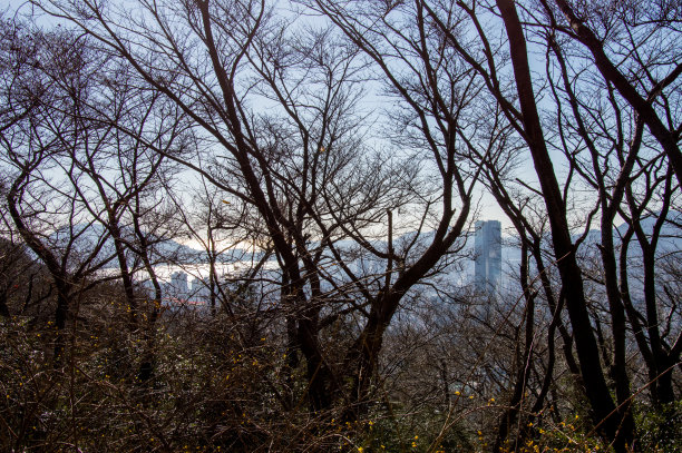 釜山标志建筑