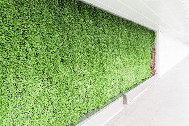 垂直绿化绿墙