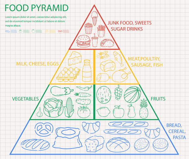 健康膳食金字塔
