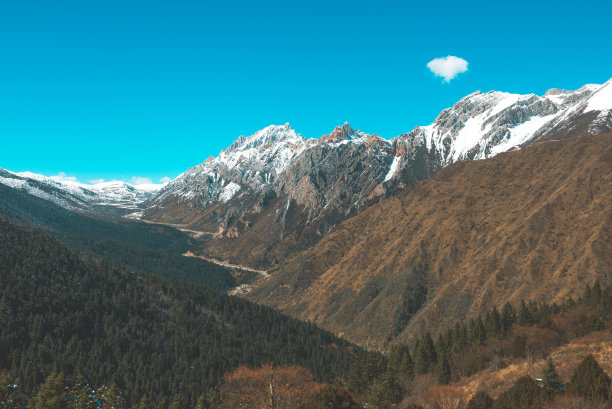 云雾雪山