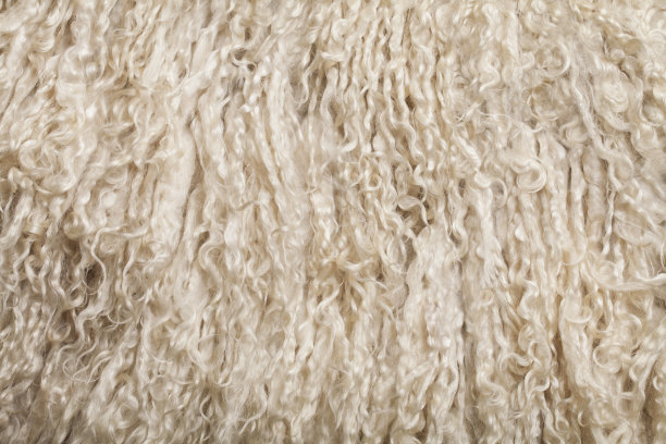 羊皮地毯