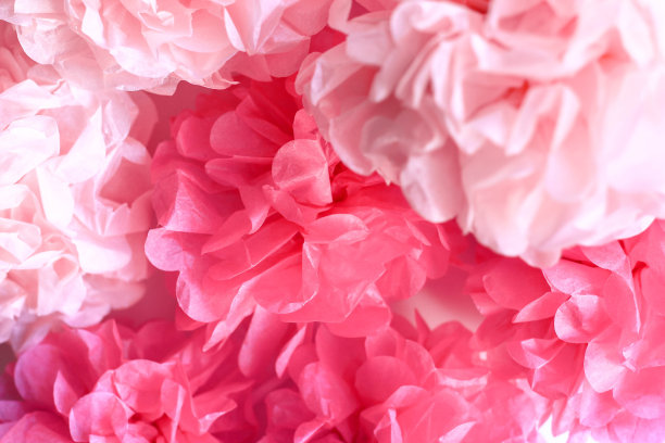 粉红色牡丹花背景墙