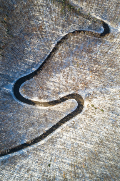 森林山路