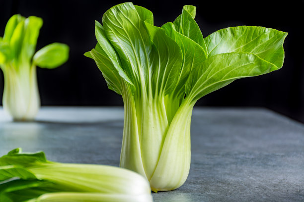 油菜高清