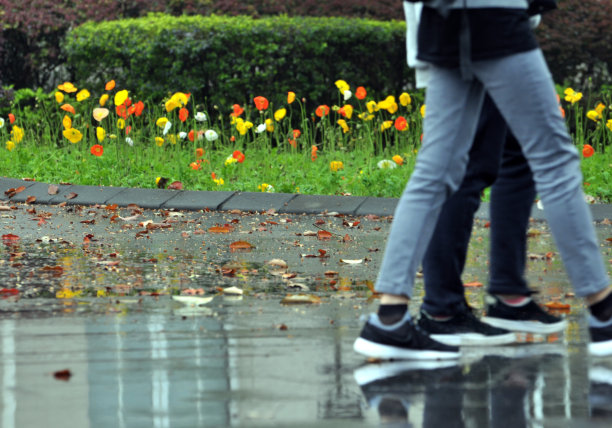 雨后的花