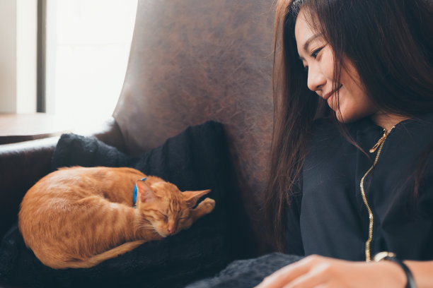 女孩抱着猫咪睡觉