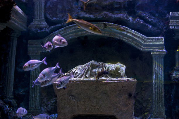 海鱼雕塑
