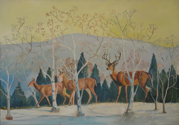 冬季野外森林和鹿
