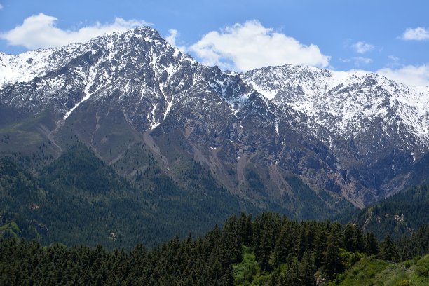 雪山草原