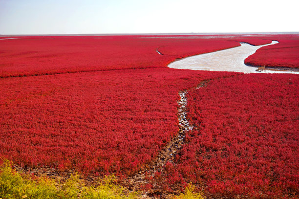 生态湿地