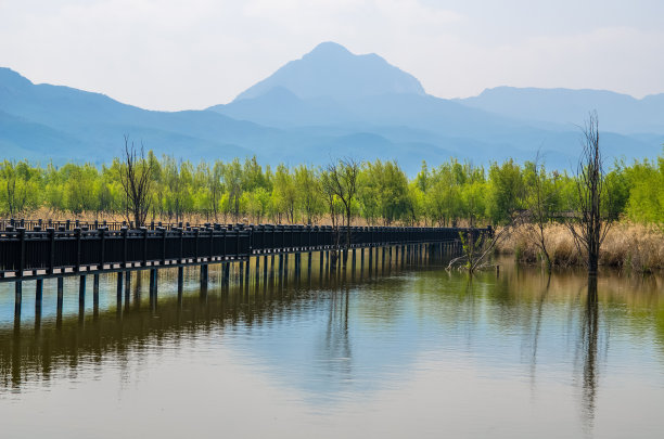 文化湿地