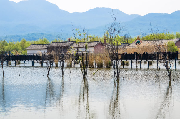 文化湿地