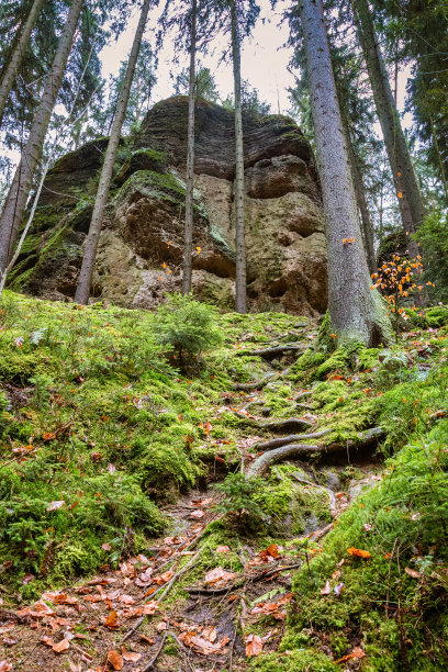 昆明石林风景区