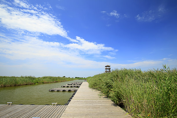 湿地沼泽