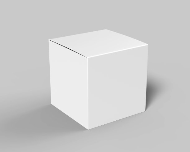 正方形纸盒效果图样机
