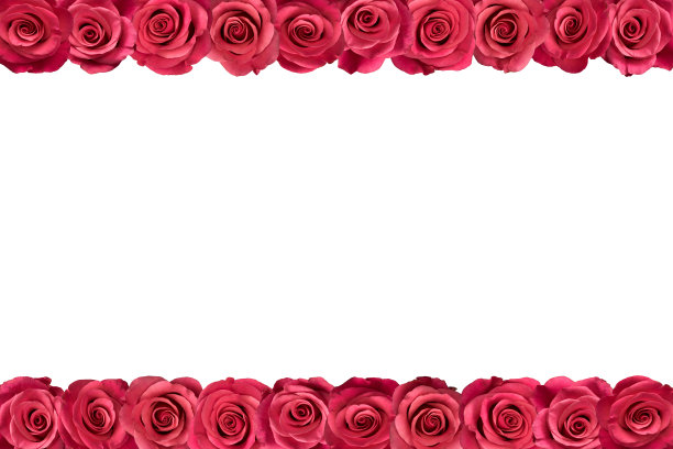 玫瑰花框