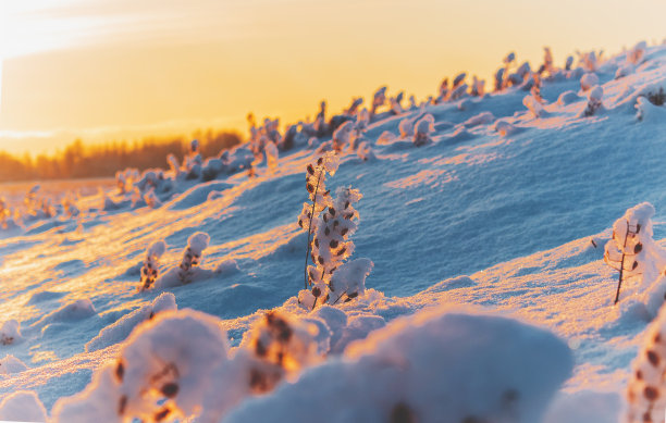 雪山风光