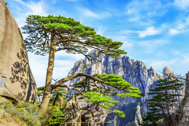 黄山风景