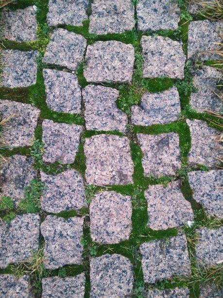 鹅卵石苔藓草地