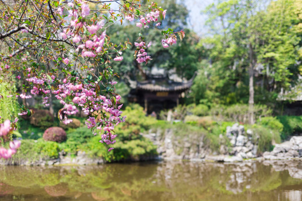 湖泊景观