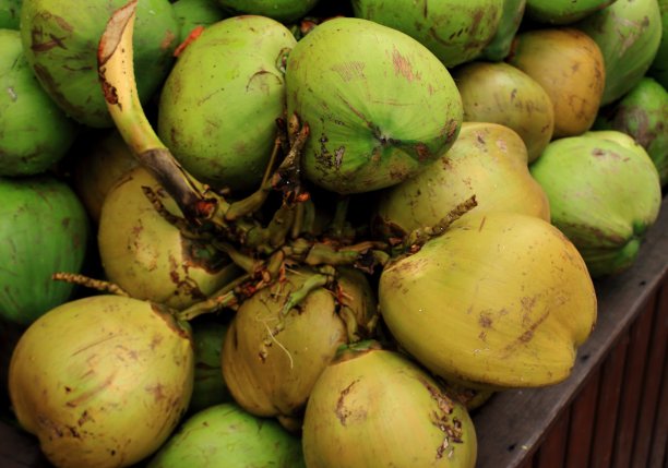 海南椰子水果果汁