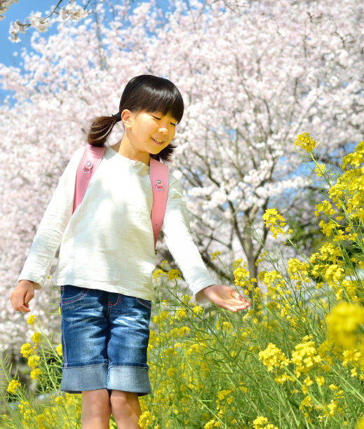 小学生在油菜花地写真