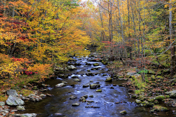 秋天的溪流