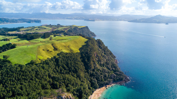 奥克兰海滨农场风景