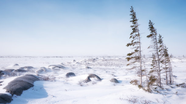 山林雪景