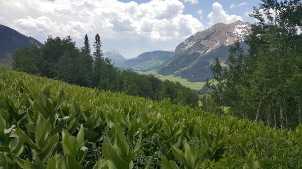 克莱斯巴山