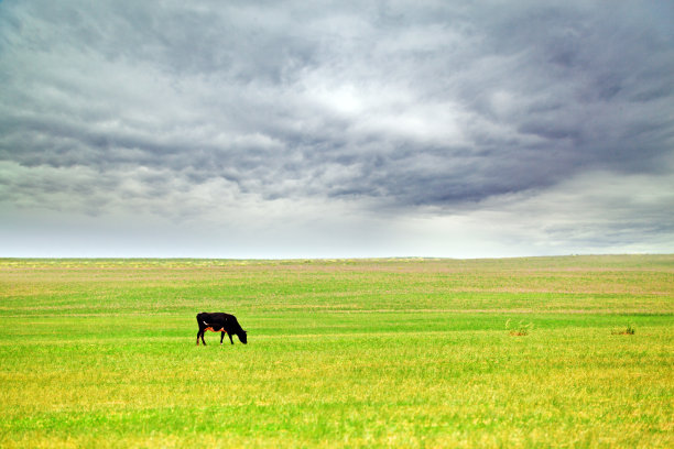 草原风光,内蒙古大草原