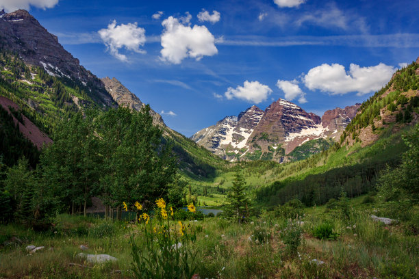 aspen