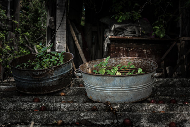 手工除草