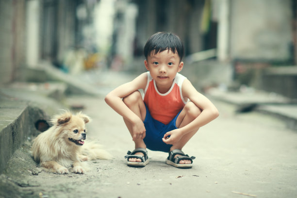 小巷小狗