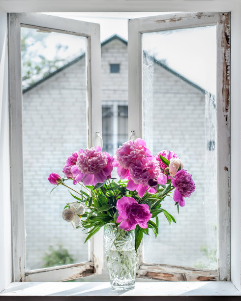 窗边的花