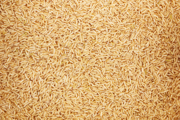 黄糙米