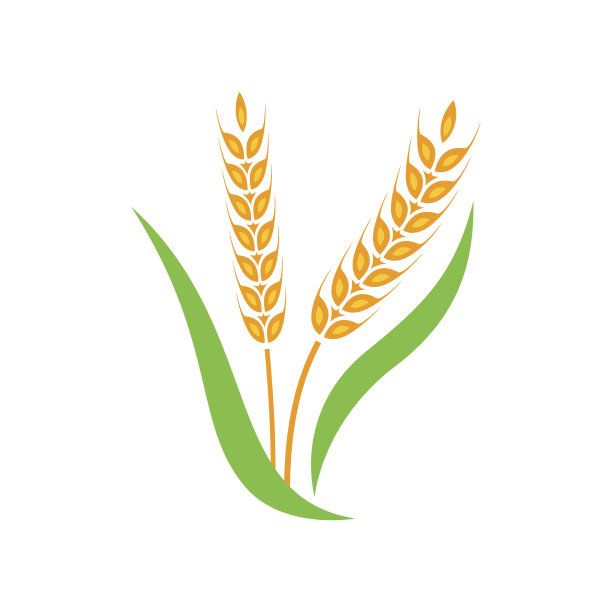 大麦面粉logo