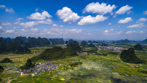 墨水和刷子