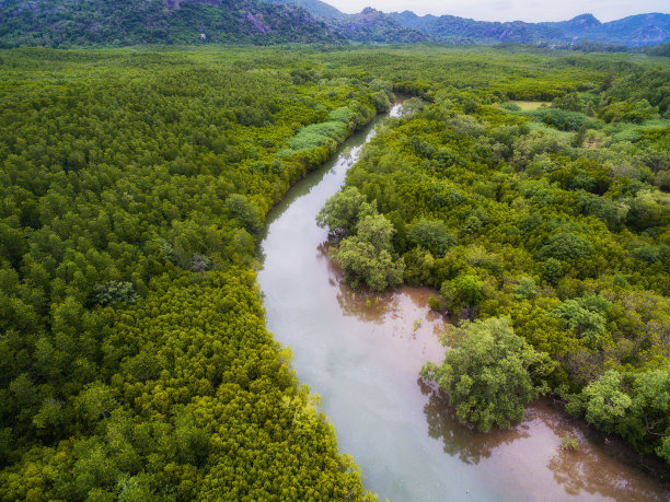 河流入海口俯视图