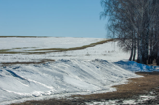冬季小麦积雪融化