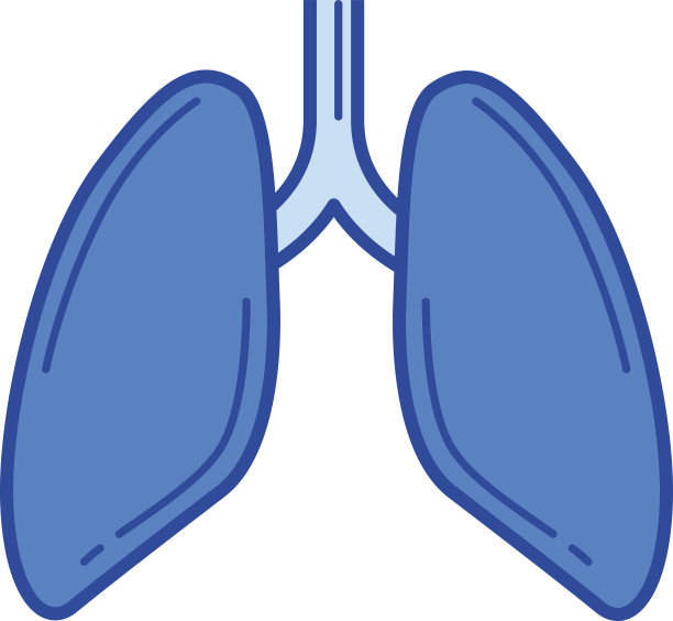 人类肺脏