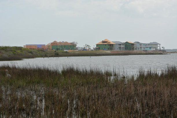 建设湿地公园
