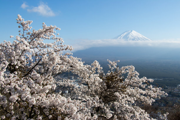 山梨县镇