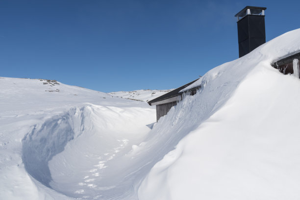 飘雪