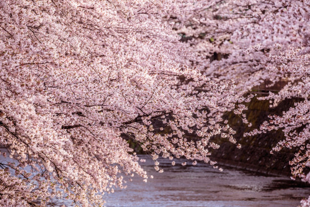 新学期背景