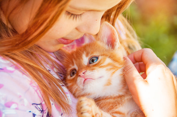 女孩抱着小猫