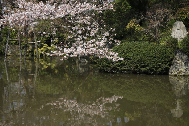 日本清水寺